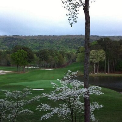 Profile Picture of Richard Yeary (@Rickyeary) on Twitter