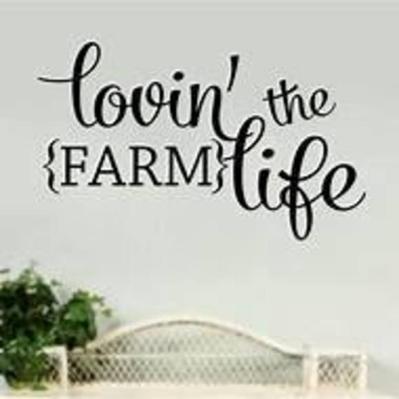 Profile Picture of Sky Lee (@farmhousedeals) on Poshmark