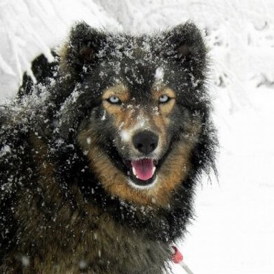 Profile Picture of Shelly Harding (@AuntieShelly99) on Twitter