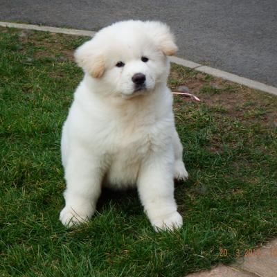 Profile Picture of Brian Couse (@briancouse881) on Twitter