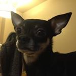 Profile Picture of Joan Martin MacFarlane (@joan.macfarlane) on Instagram