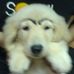 Profile Picture of Shancasey Hsu (@shancasey.hsu) on Facebook