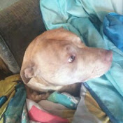 Profile Picture of Airasen Mulldune (@airasenmulldune1057) on Youtube