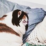 Alexandra Korniіеnko (she/her) - Instagram Profile Picture of Alexandra Korniіеnko (she/her) (@karnenka) on Instagram