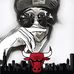 Profile Picture of Brandon Groh (@brandon.groh.7) on Facebook