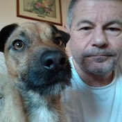 Profile Picture of Matthew Wheeler (@matthewwheeler64) on Youtube