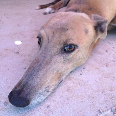 Profile Picture of Chris Laffin (@claffin) on Twitter