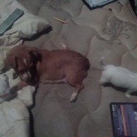 Profile Picture of Brandon Neaves (@brandon-neaves) on Quora