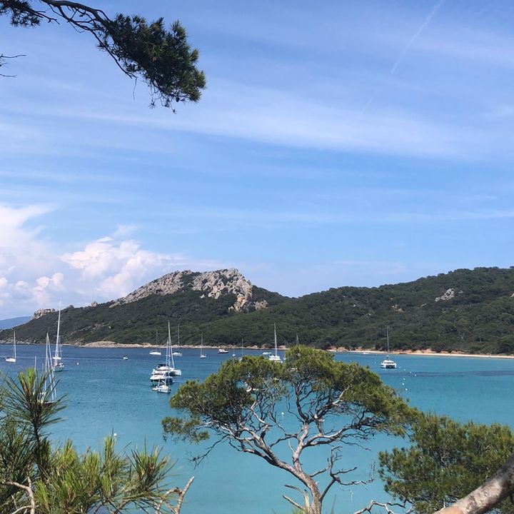 Profile Picture of Lukas (@davidbrecht0) on Tiktok