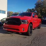 Profile Picture of alex (@alexlabine) on Instagram