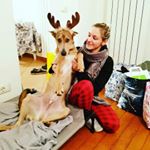 Profile Picture of Alison Astrid (@alison_isaac_dog) on Instagram