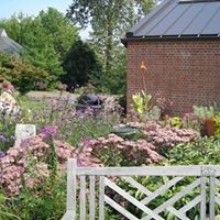 Profile Picture of Beverly Borrhello (@beverly-borrhello) on Quora