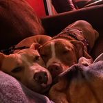 Richard Delyon - Instagram Profile Picture of Richard Delyon (@richard_delyon) on Instagram