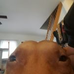 Michael Yackoski - Instagram Profile Picture of Michael Yackoski (@michaelyackoski) on Instagram