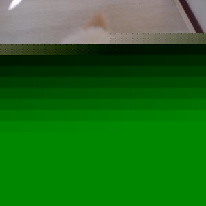 Profile Picture of Fiona Carroll (@fcarroll) on Myspace