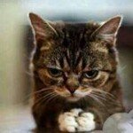 Profile Picture of Daniel Altmann (@altmanndaniel) on Instagram