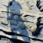 Profile Picture of Dominik Dobner (@d_dobner) on Instagram