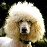 Profile Picture of Andrew Nedrow (@andrew_nedrow) on Instagram