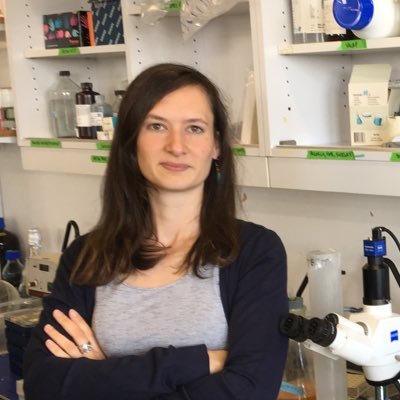 Profile Picture of Géraldine Laloux (@LalouxLab) on Twitter