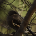 Profile Picture of mark linsley (@marklinsley1) on Flickr