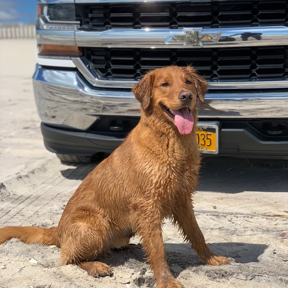 Profile Picture of Darcee Aufenanger (@darcee_a) on Poshmark