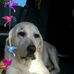 Profile Picture of Brian Chaplin (@brian.chaplin.169) on Facebook