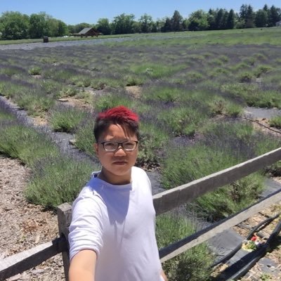 Profile Picture of Isaac Ng (@isaacng18) on Twitter