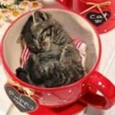 Profile Picture of Pamela Chiera (@PamelaChiera) on Twitter