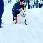 Profile Picture of Kyle Saunders (@kyle_saunders_5) on Instagram