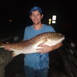 Profile Picture of Dylan Wingo (@dylanjwingo21) on Instagram