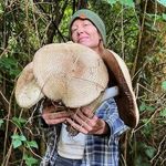 Profile Picture of Matze (@elfirefly) on Instagram