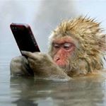 Profile Picture of Jeff Moir (@jeff.moir1) on Instagram