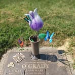 Shawn O'grady - Facebook Profile Picture of Shawn O'grady (@shawn.ogrady.547) on Facebook