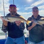 Profile Picture of James Ehrlich (@james.ehrlich.161) on Facebook