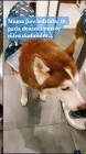 Profile Picture of   ale czy musi być w... (@agnieszka.kobylinska) on Tiktok