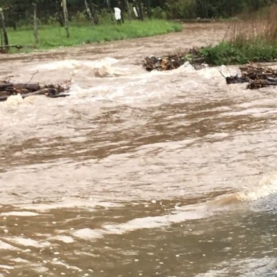 Profile Picture of Dance (@LeahDawnWorley1) on Twitter