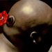 Profile Picture of Joel Wyatt (@supernord2) on Pinterest