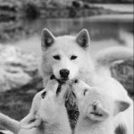 ʟogaɴ & cʜʀɪs. - Instagram Profile Picture of ʟogaɴ & cʜʀɪs. (@milesofsorrow) on Instagram