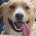 Profile Picture of Nancy McDavid (@nancy.mcdavid.75) on Facebook