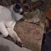 Profile Picture of Diane Jeffries (@diane.jeffries.752) on Facebook