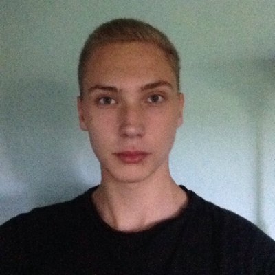 Profile Picture of David Heinen (@supercrasher007) on Twitter