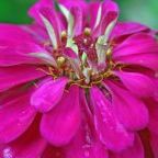 Profile Picture of Kim Morgan Gregory Photography (@KMGregoryPhoto) on Pinterest