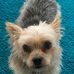 Profile Picture of Janet Joyner (@janet.joyner.399) on Facebook