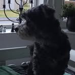 Profile Picture of Sam Edberg (@Sam-Edberg) on Facebook