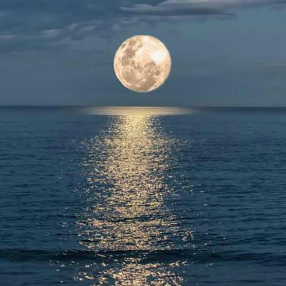 Profile Picture of Heather Jurasek (@desire16) on Poshmark