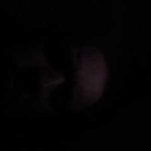 Profile Picture of Robert Stary (@stary_robert) on Twitter