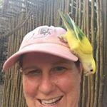 Profile Picture of Stacy Connors Horner (@stacy.horner2017) on Instagram