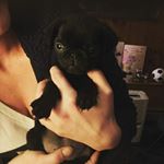 Profile Picture of Heidi Cole (@heidi.cole_) on Instagram