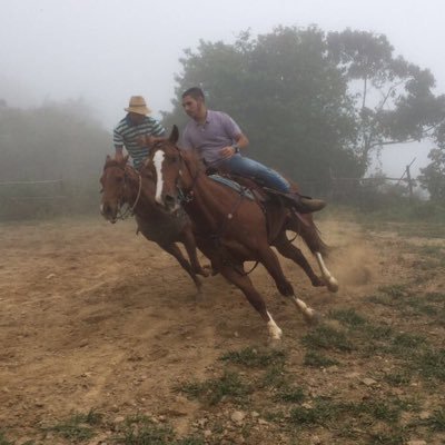 Profile Picture of Andres Manzo (@andress_manzoo) on Twitter