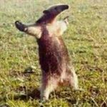 Profile Picture of Alexander Schütze (@alexander.schuetze04) on Instagram